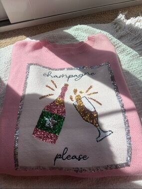 Main Strip Pink Sequin Accent Sweater